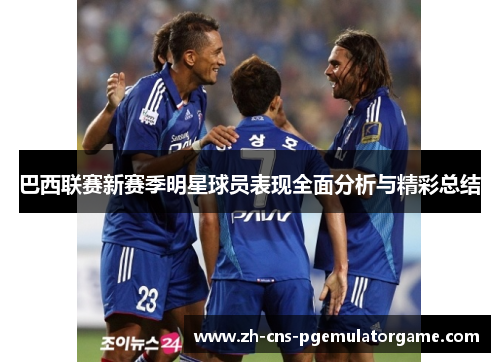 巴西联赛新赛季明星球员表现全面分析与精彩总结